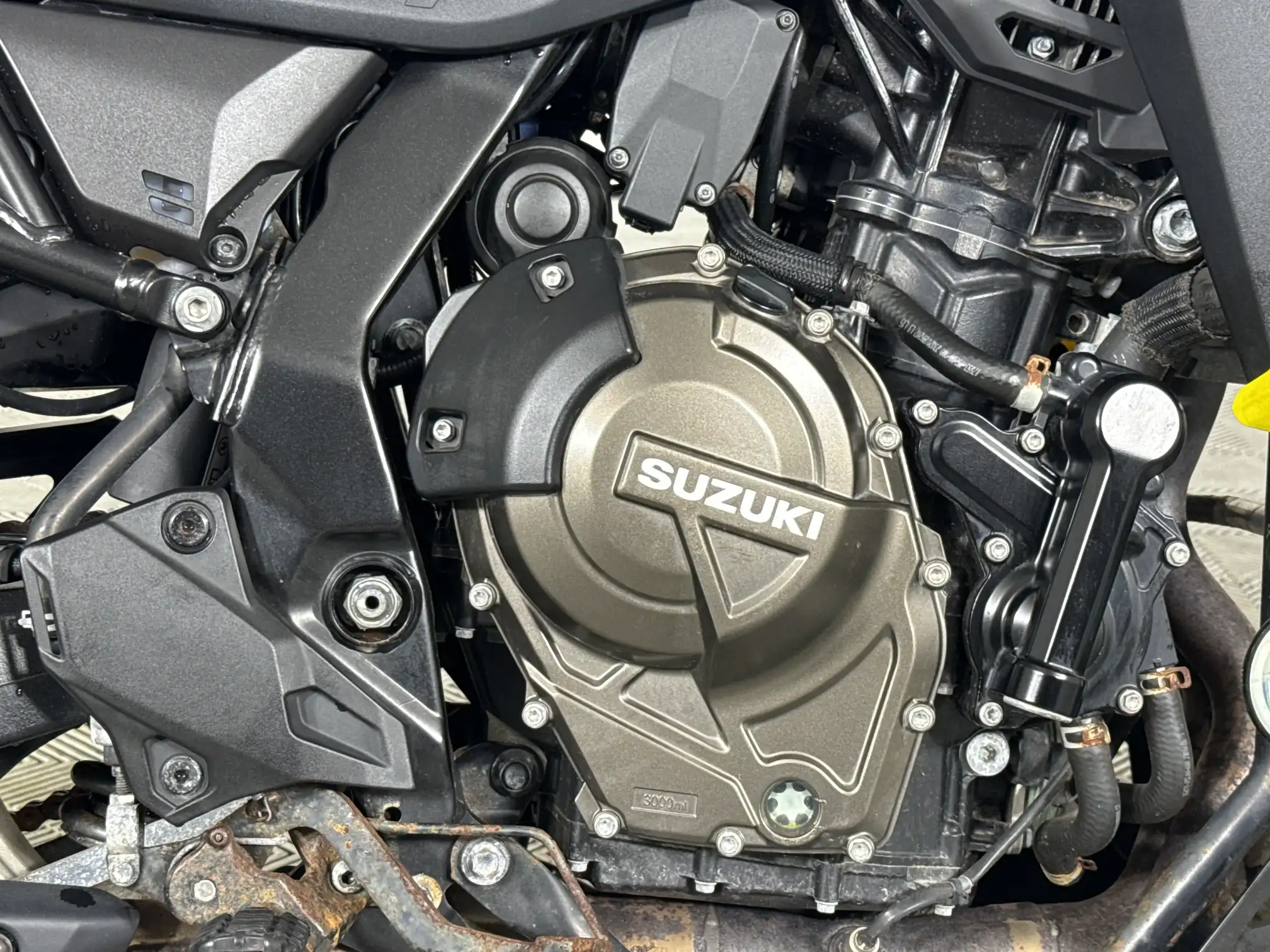 Suzuki 800
