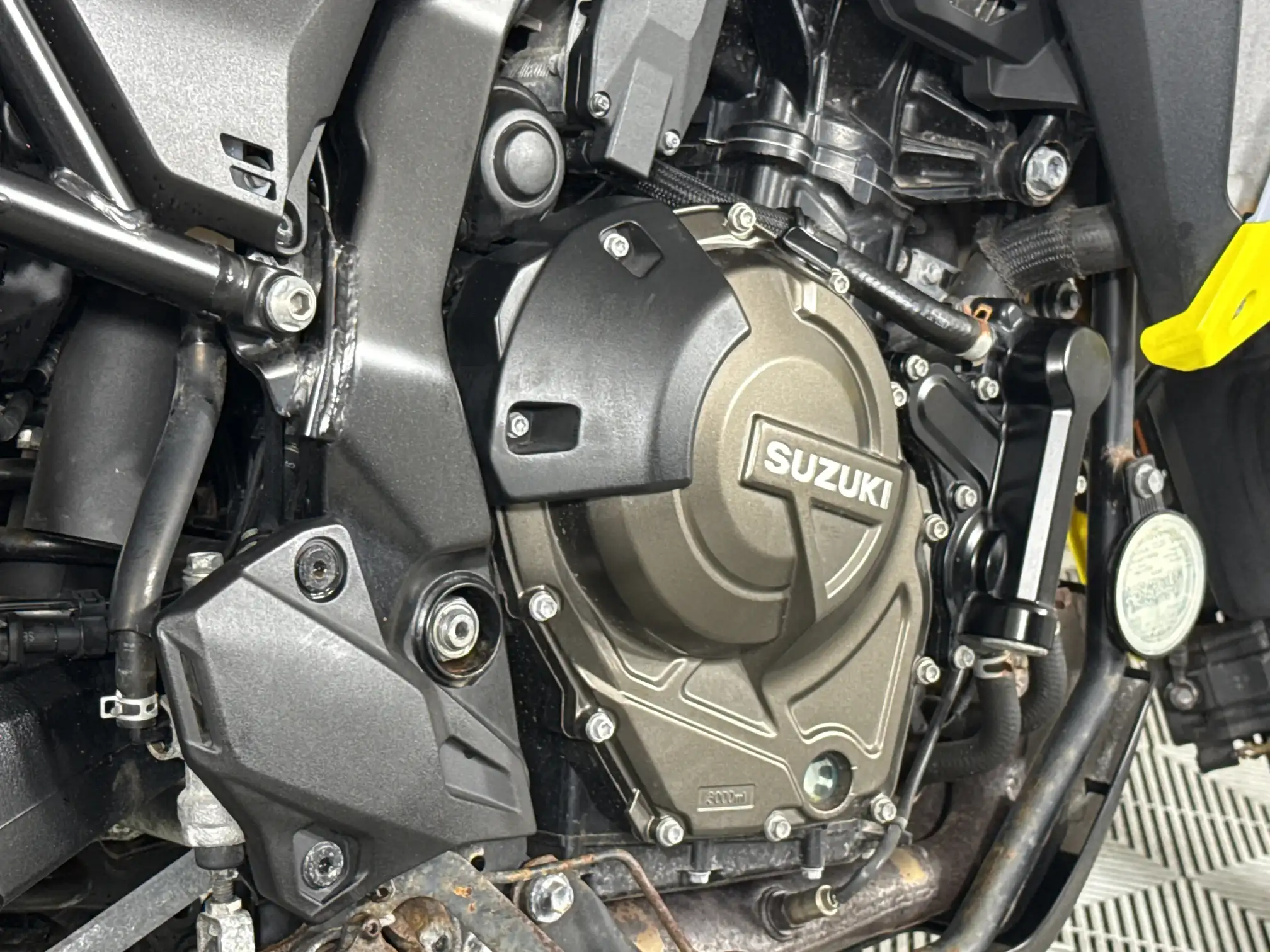 Suzuki 800