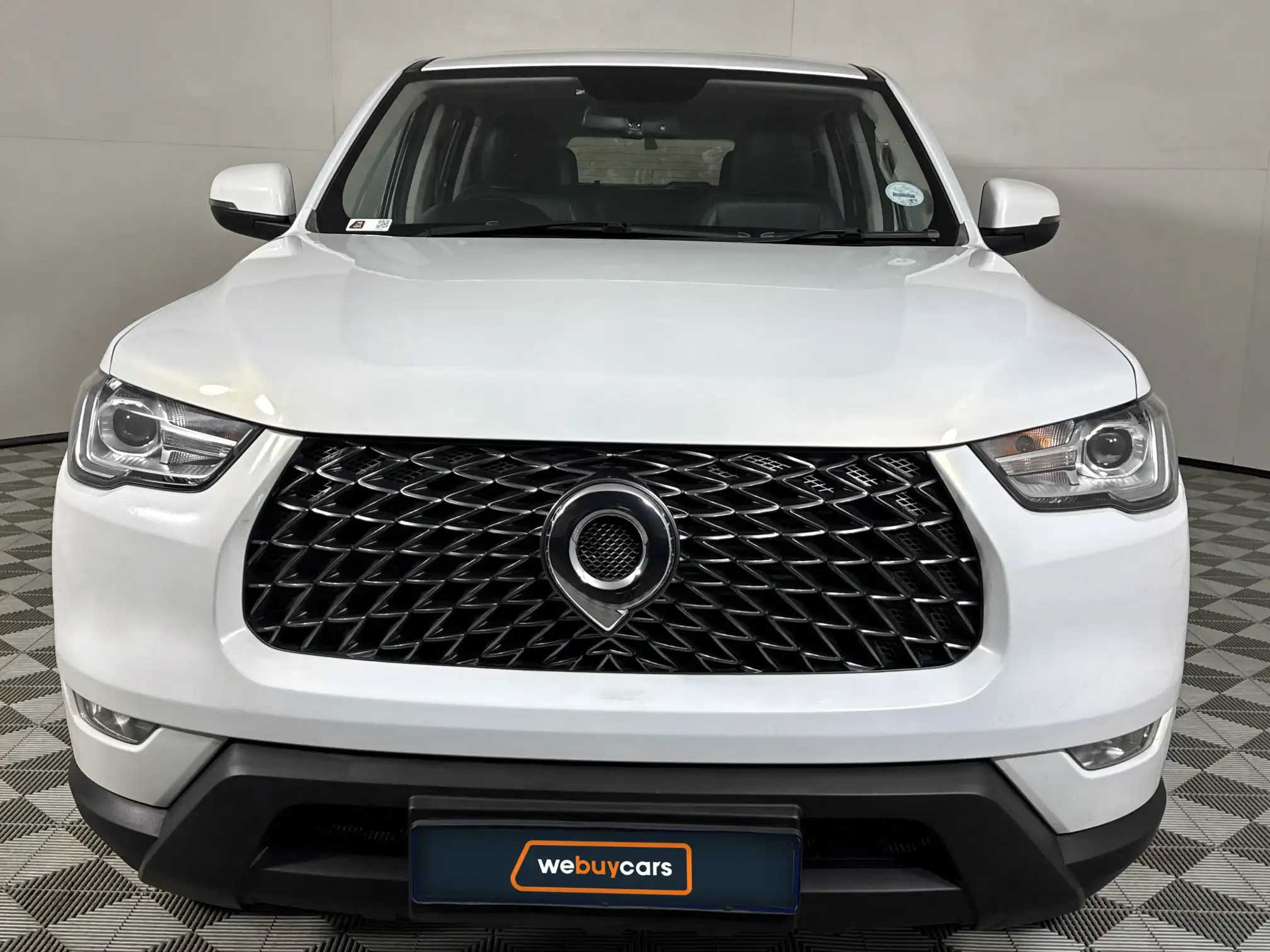 GWM P-Series