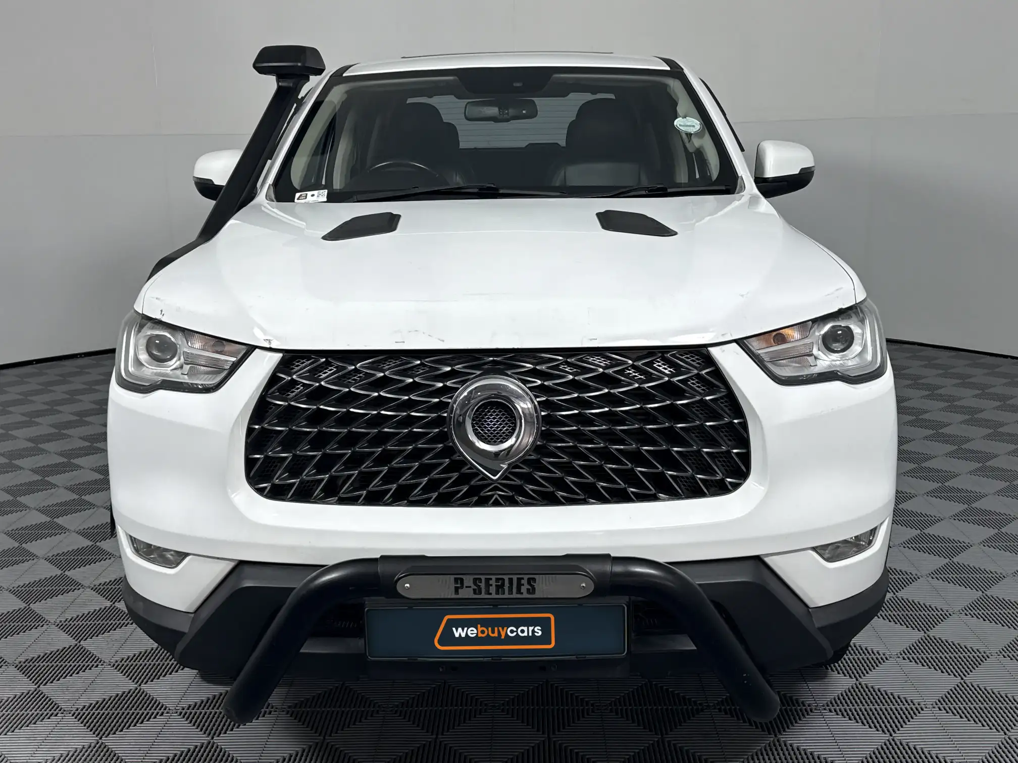 GWM P-Series