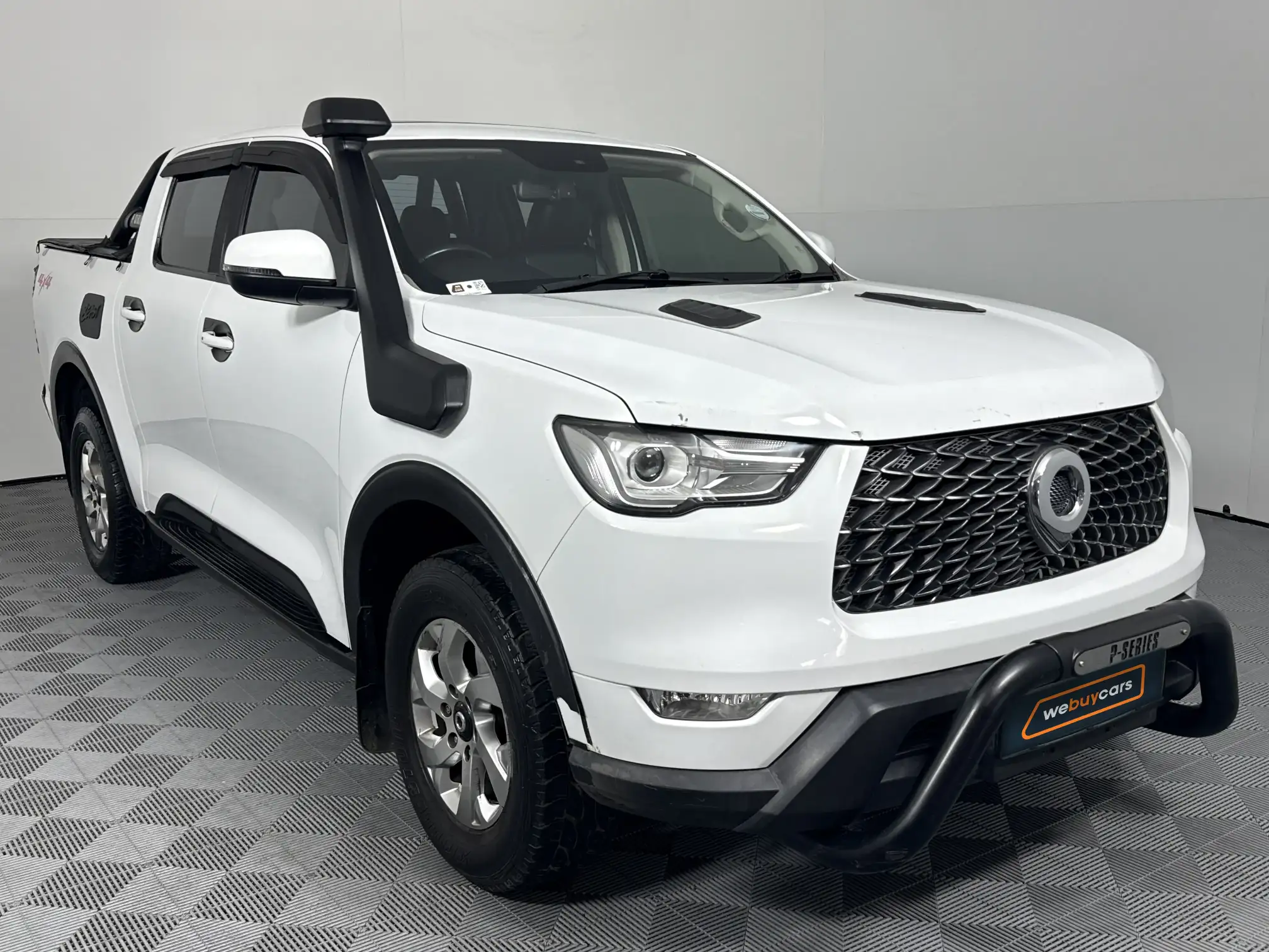 GWM P-Series