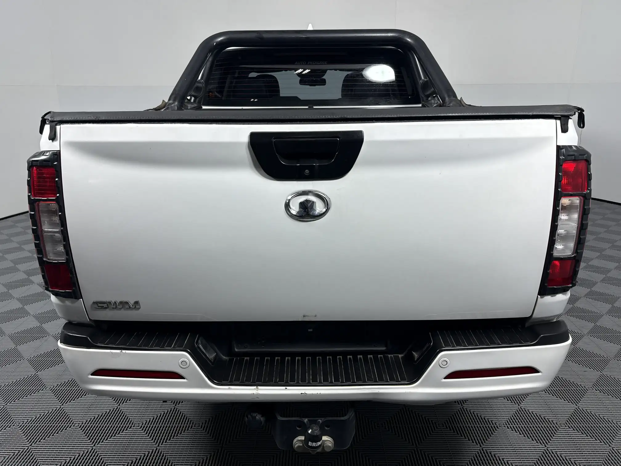 GWM P-Series