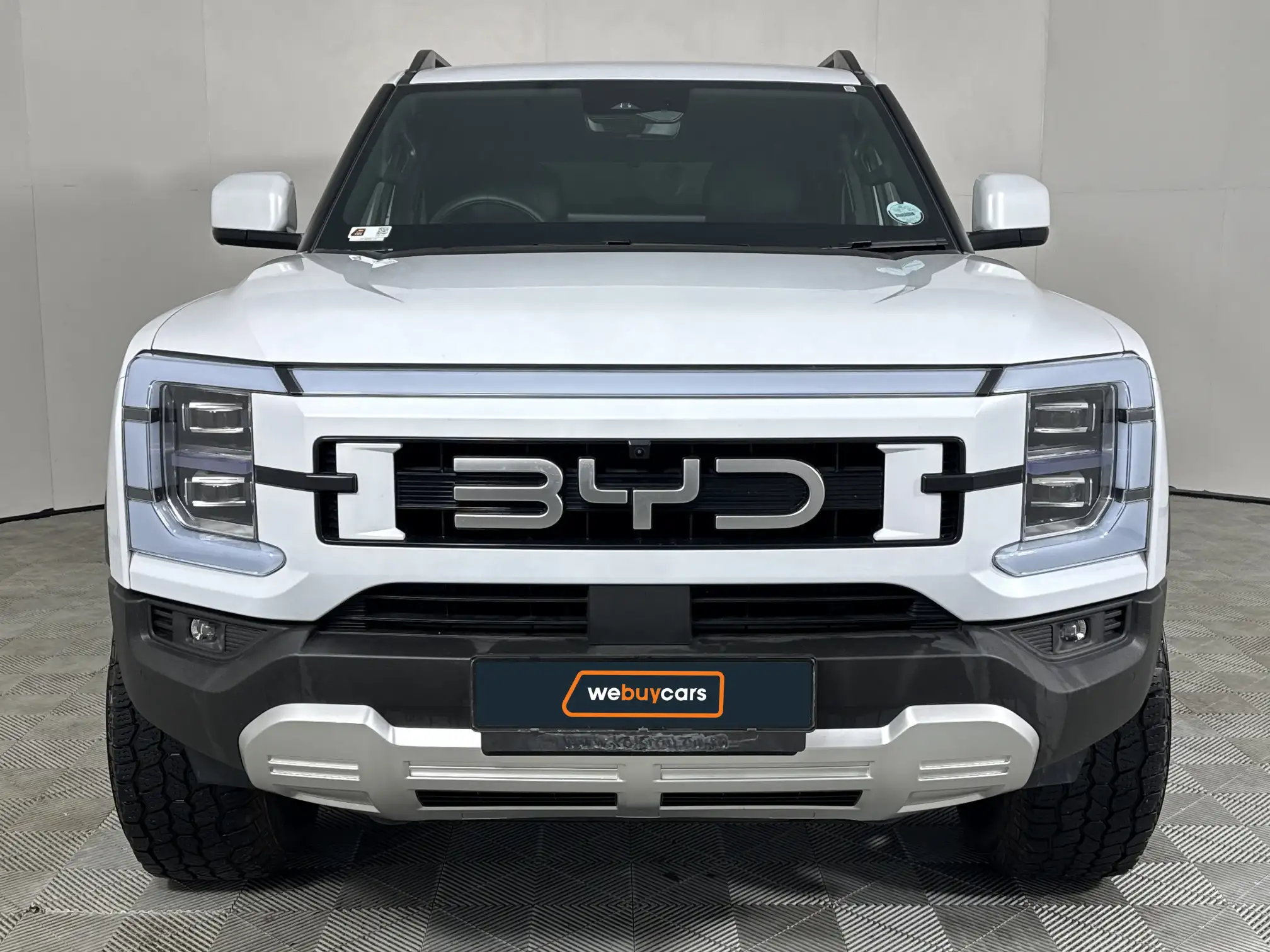 BYD Shark