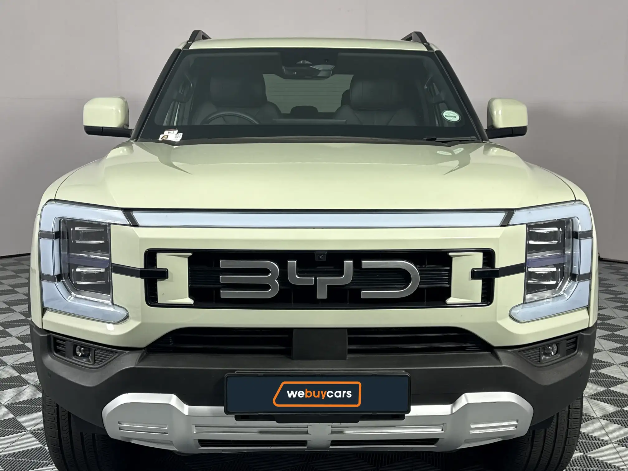 BYD Shark