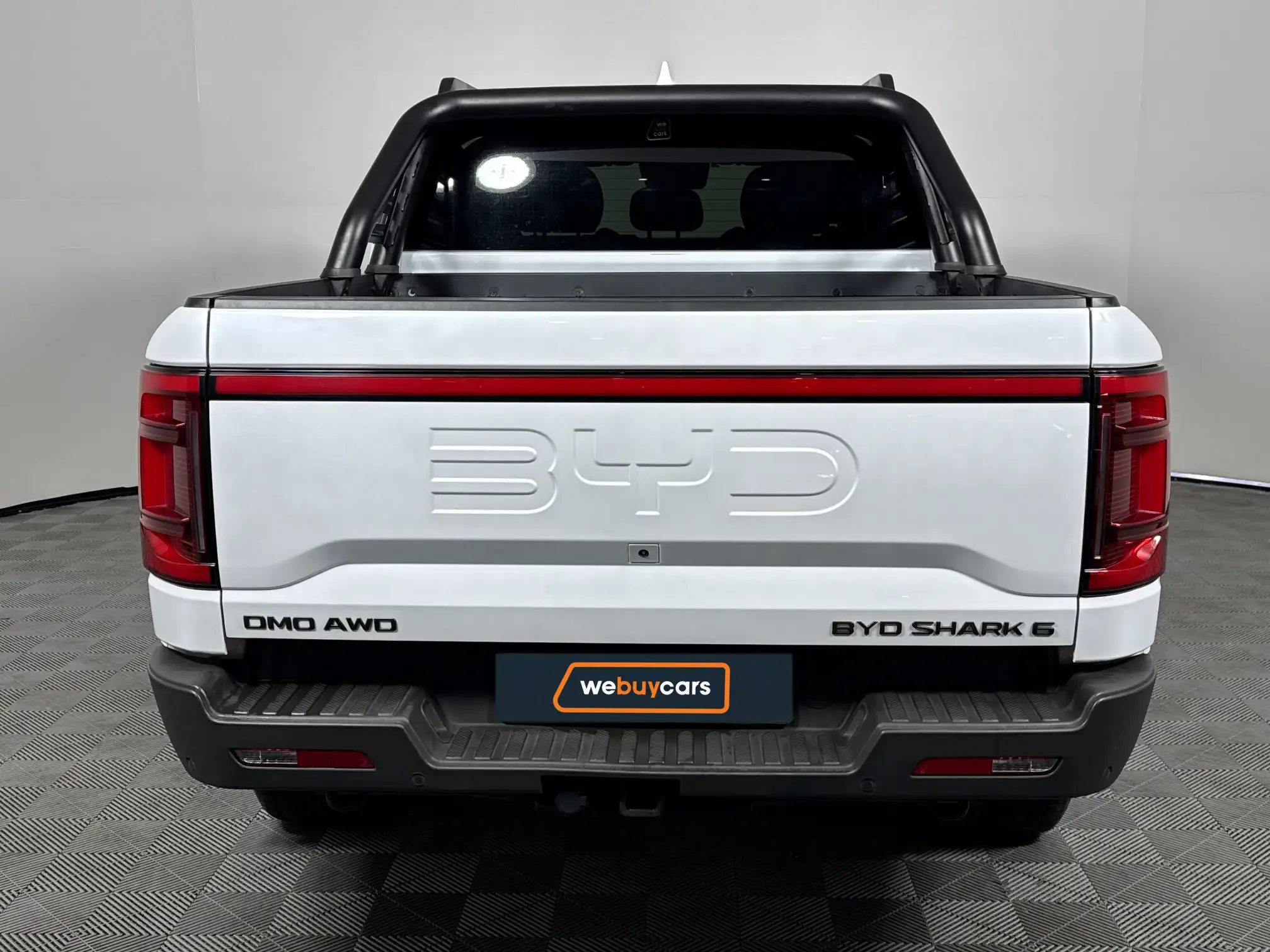 BYD Shark