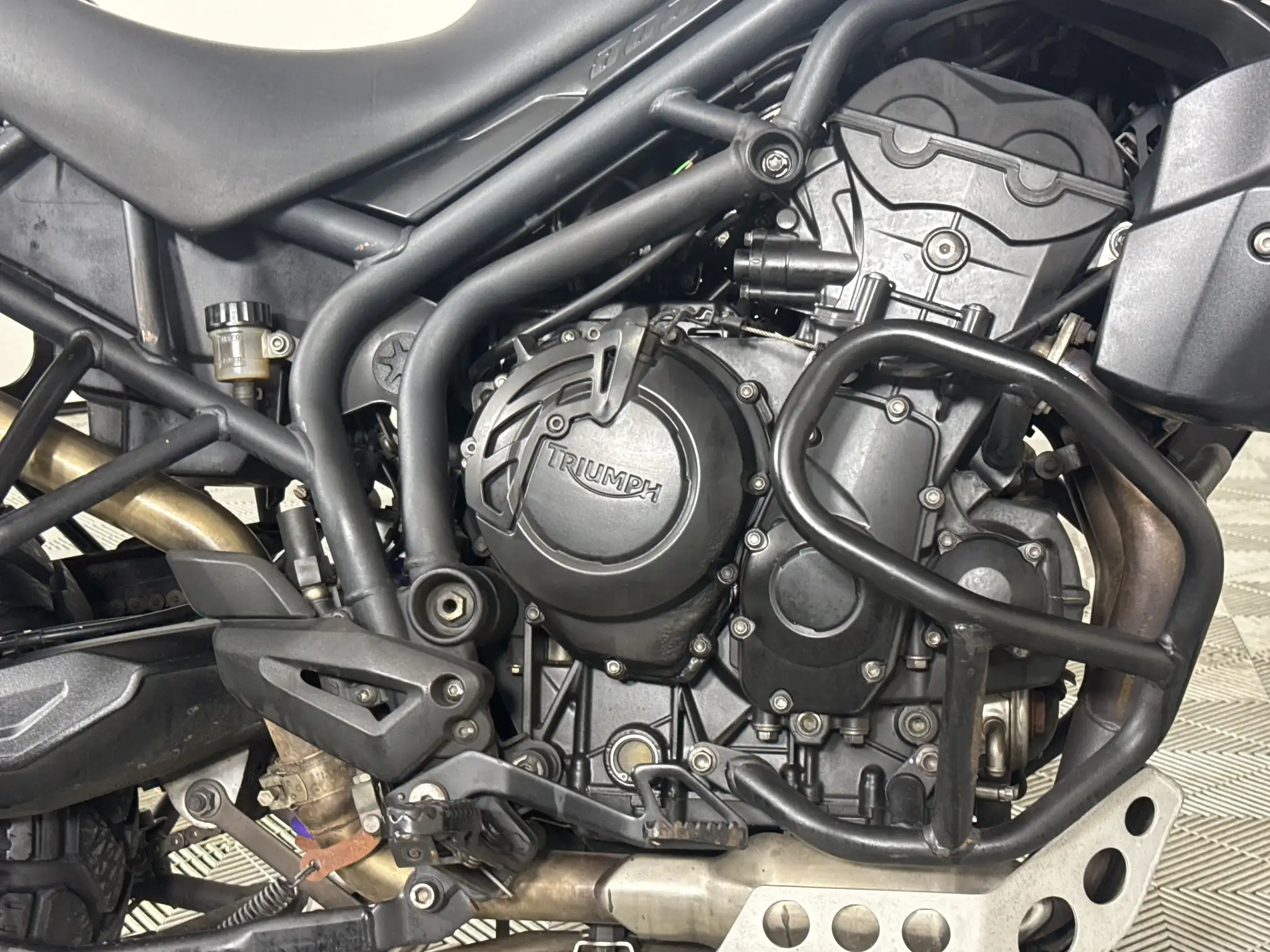 Triumph Tiger
