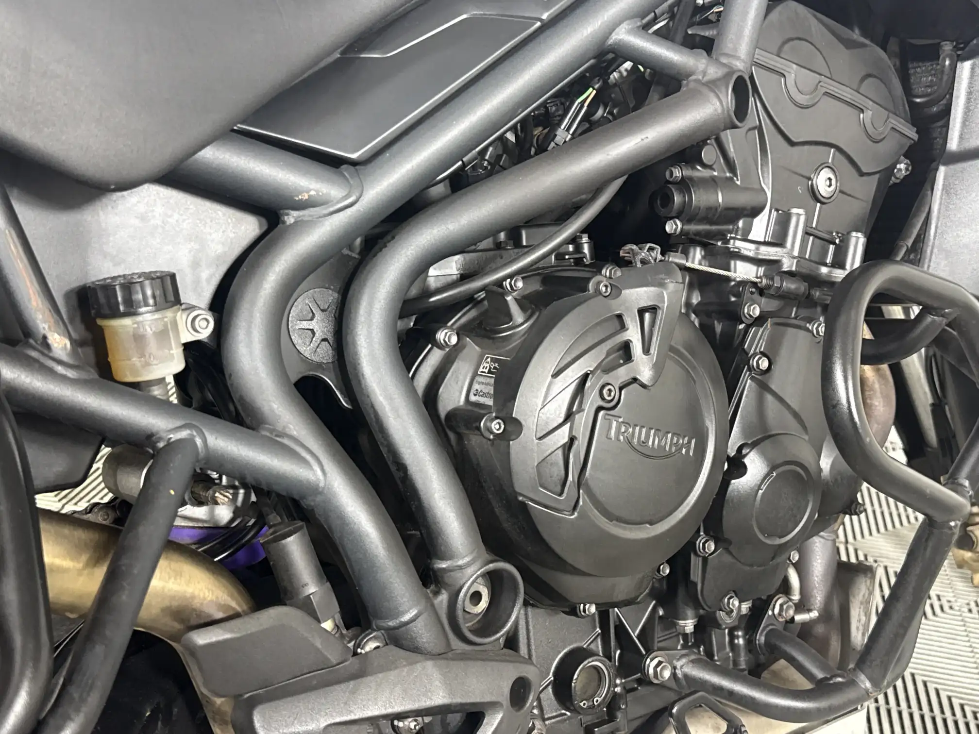 Triumph Tiger