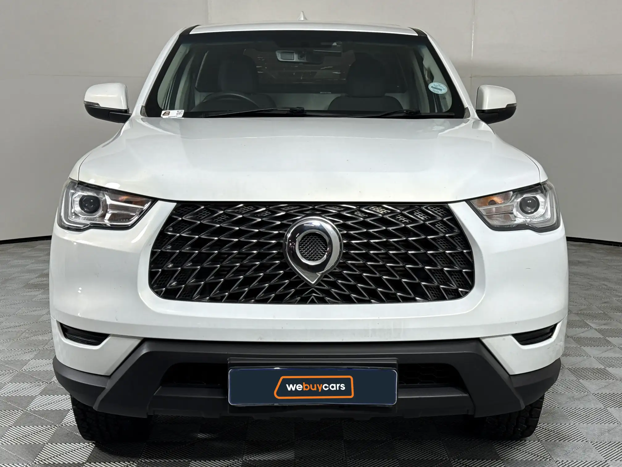 GWM P-Series