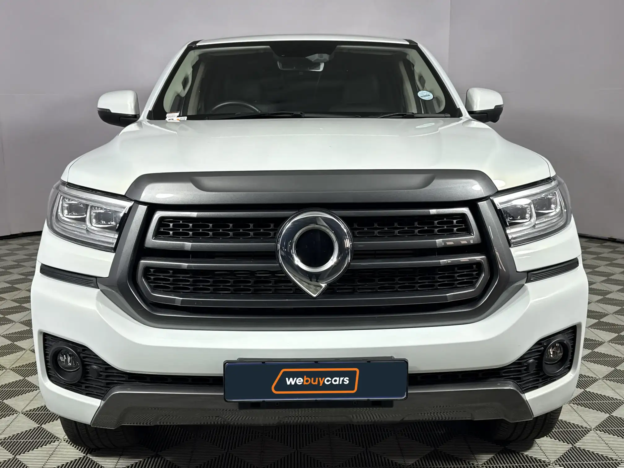 GWM P-Series