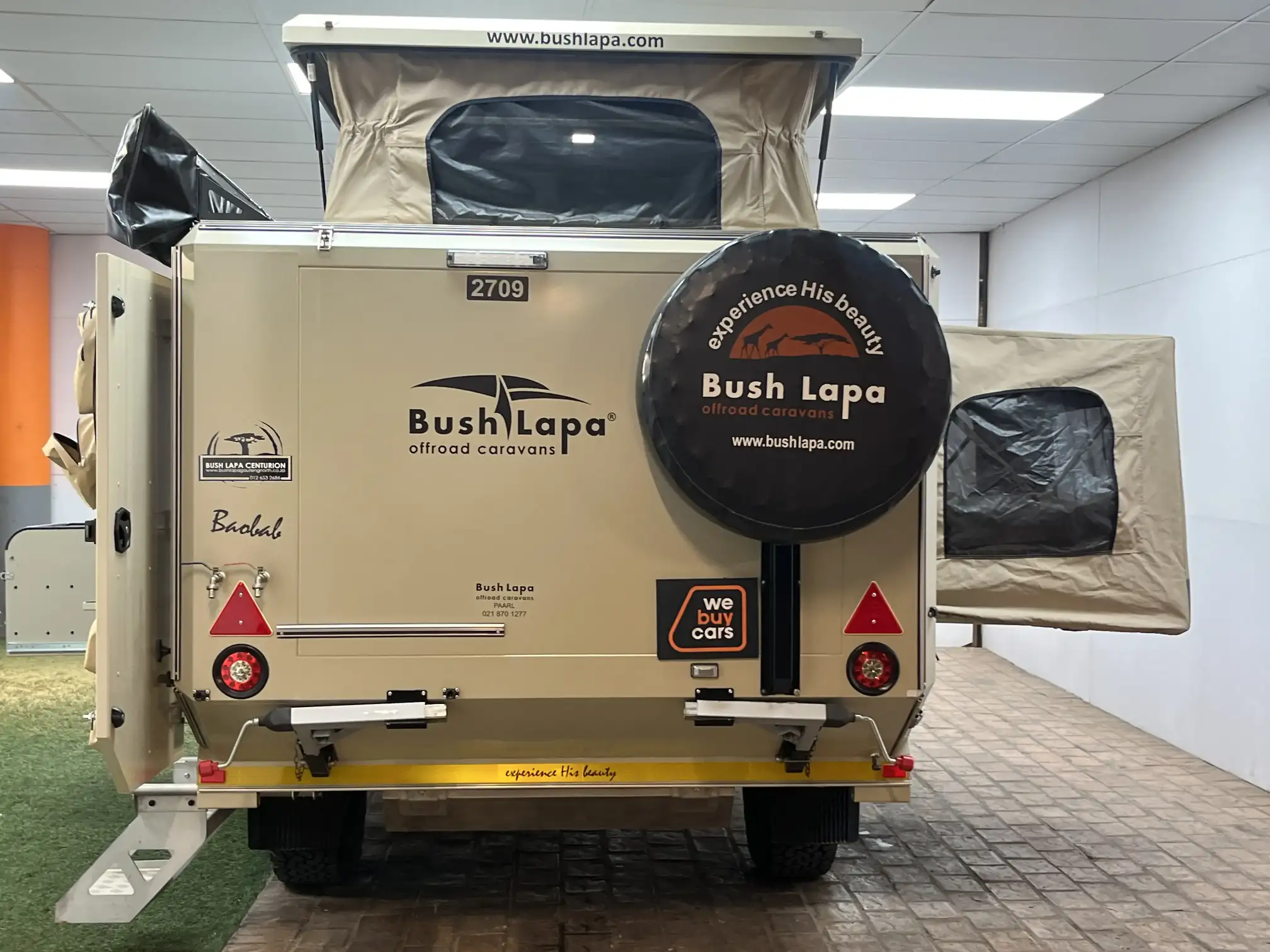 BushLapa Boabab