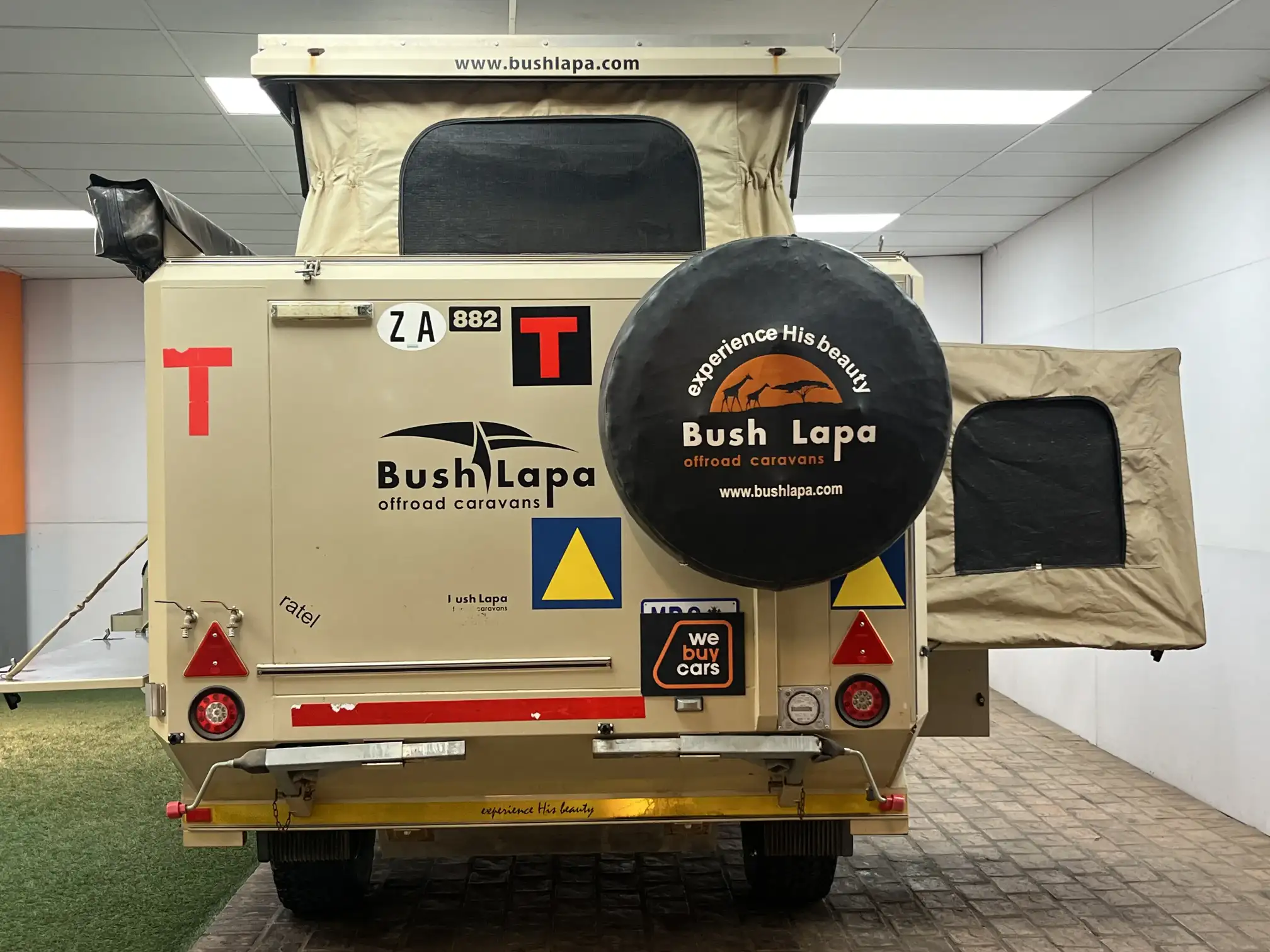 Bush Lapa Ratel