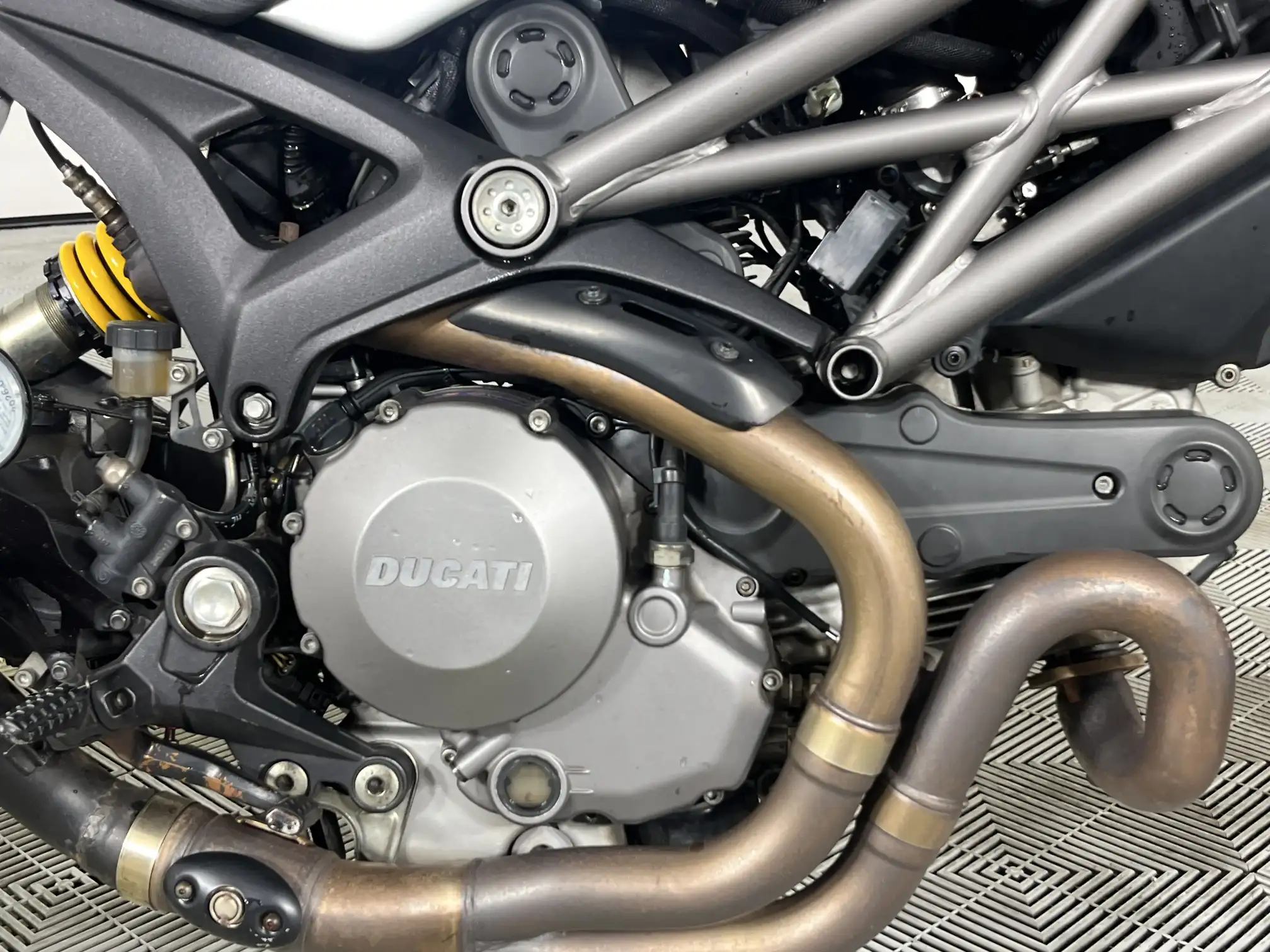 Ducati Monster