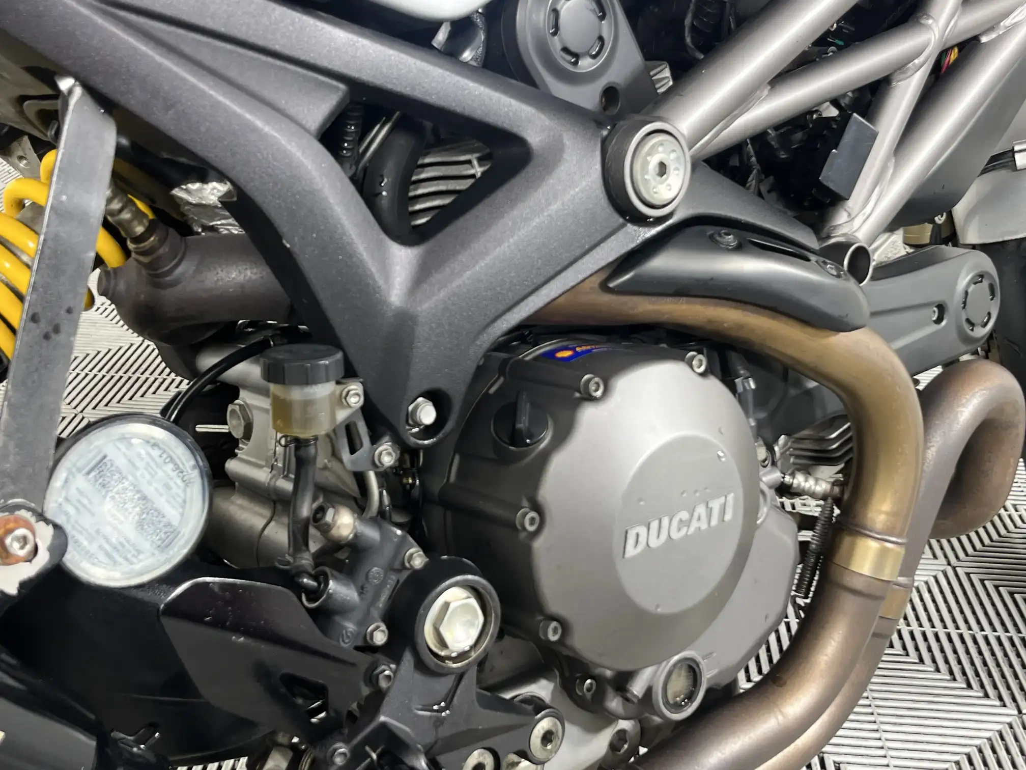 Ducati Monster