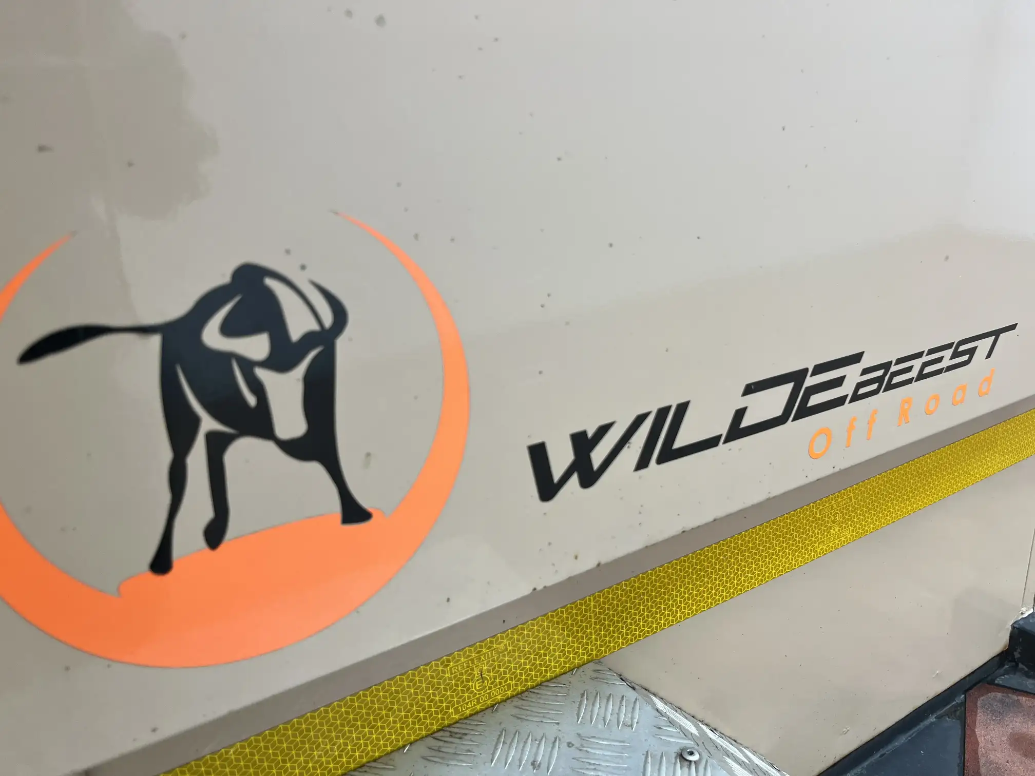 Wildebeest Kalfie