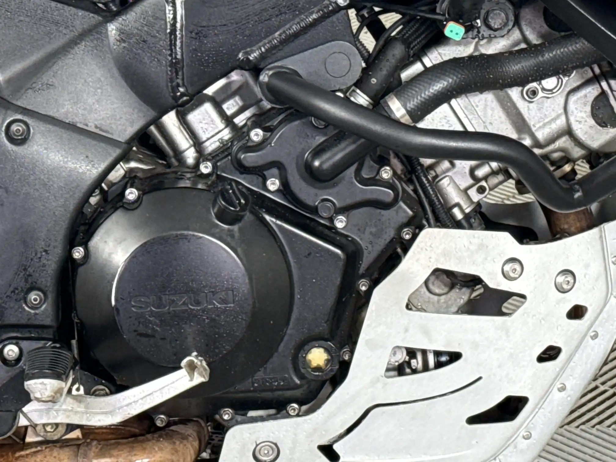 Suzuki DL