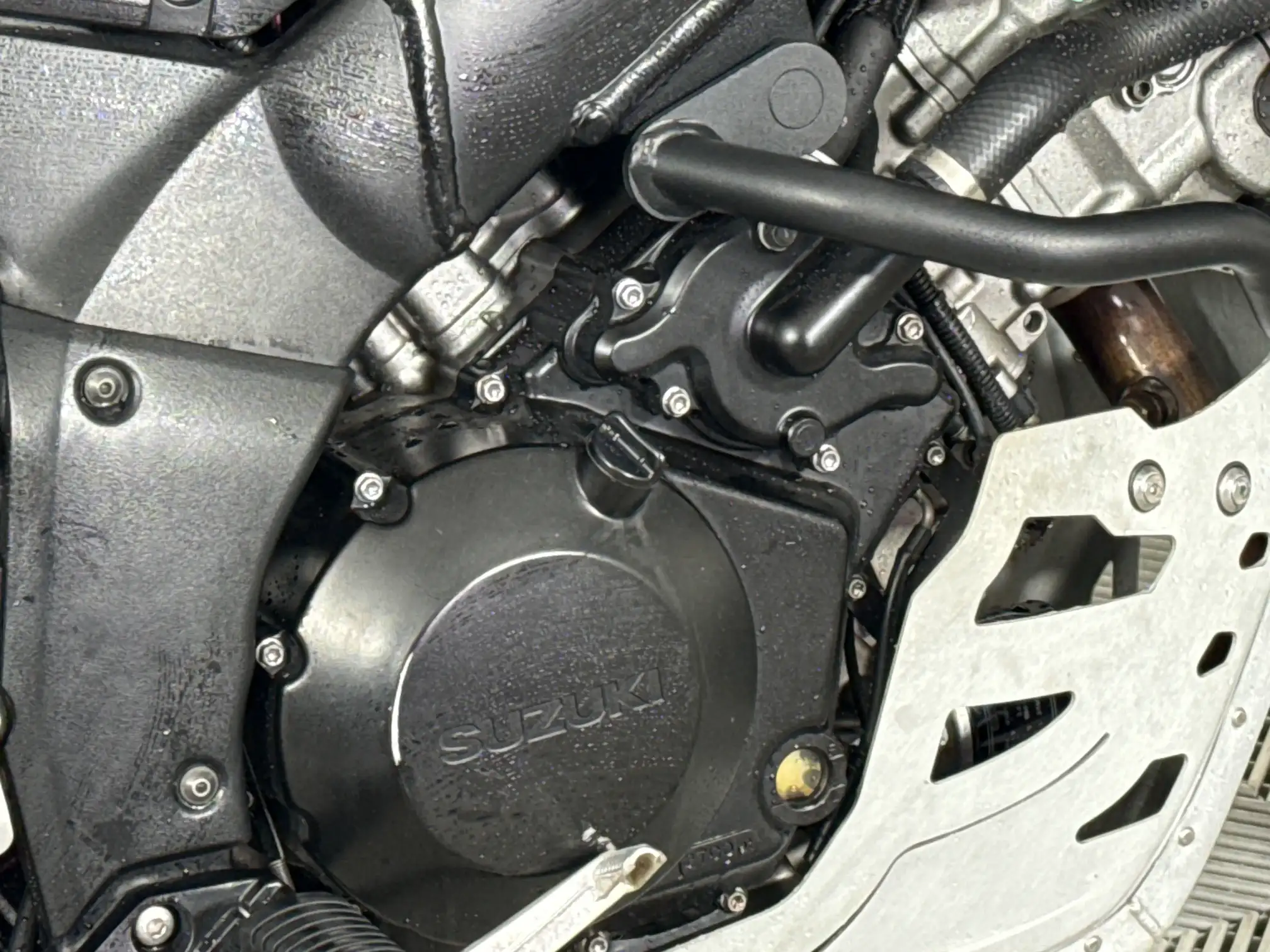 Suzuki DL