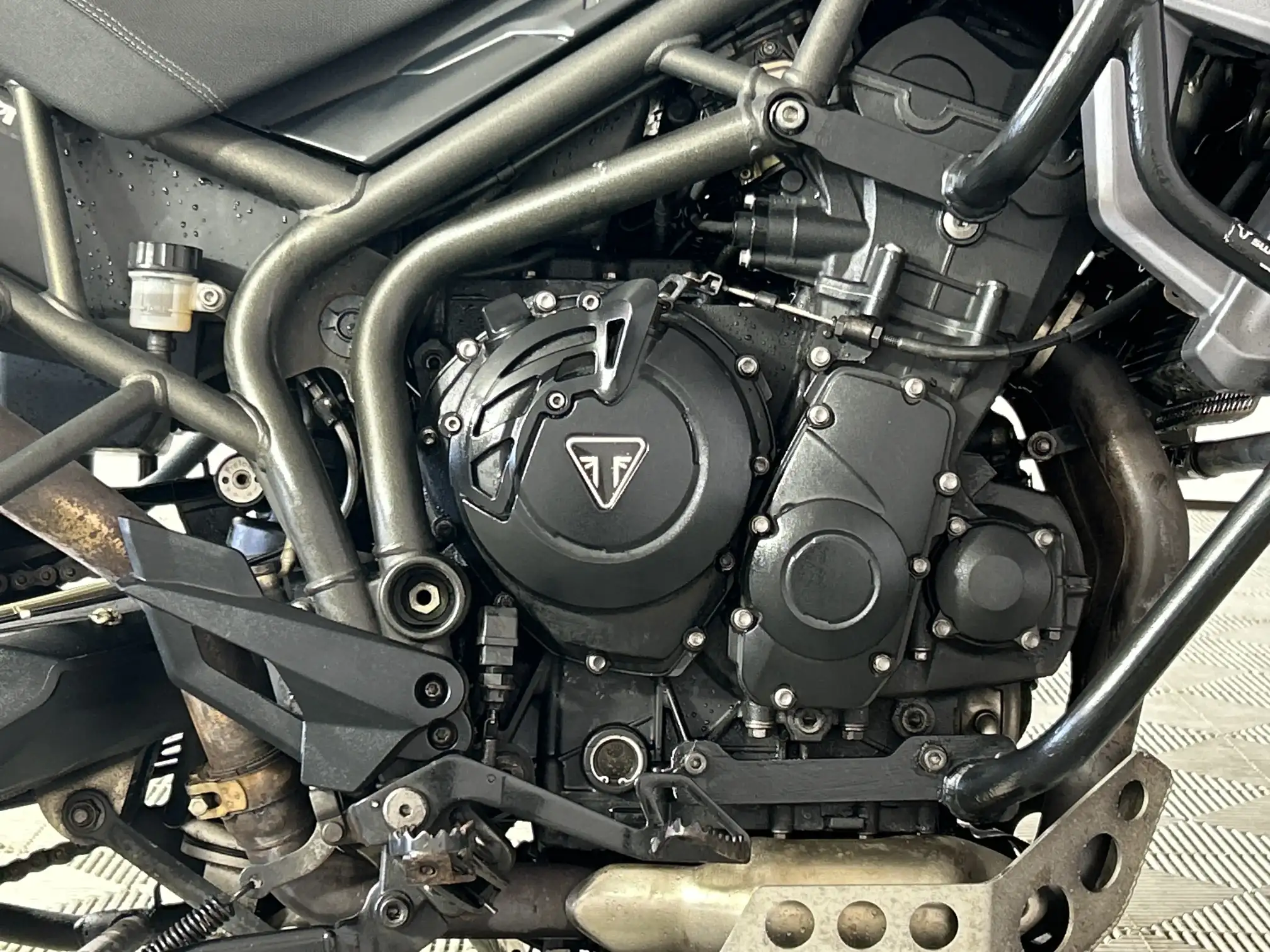 Triumph Tiger