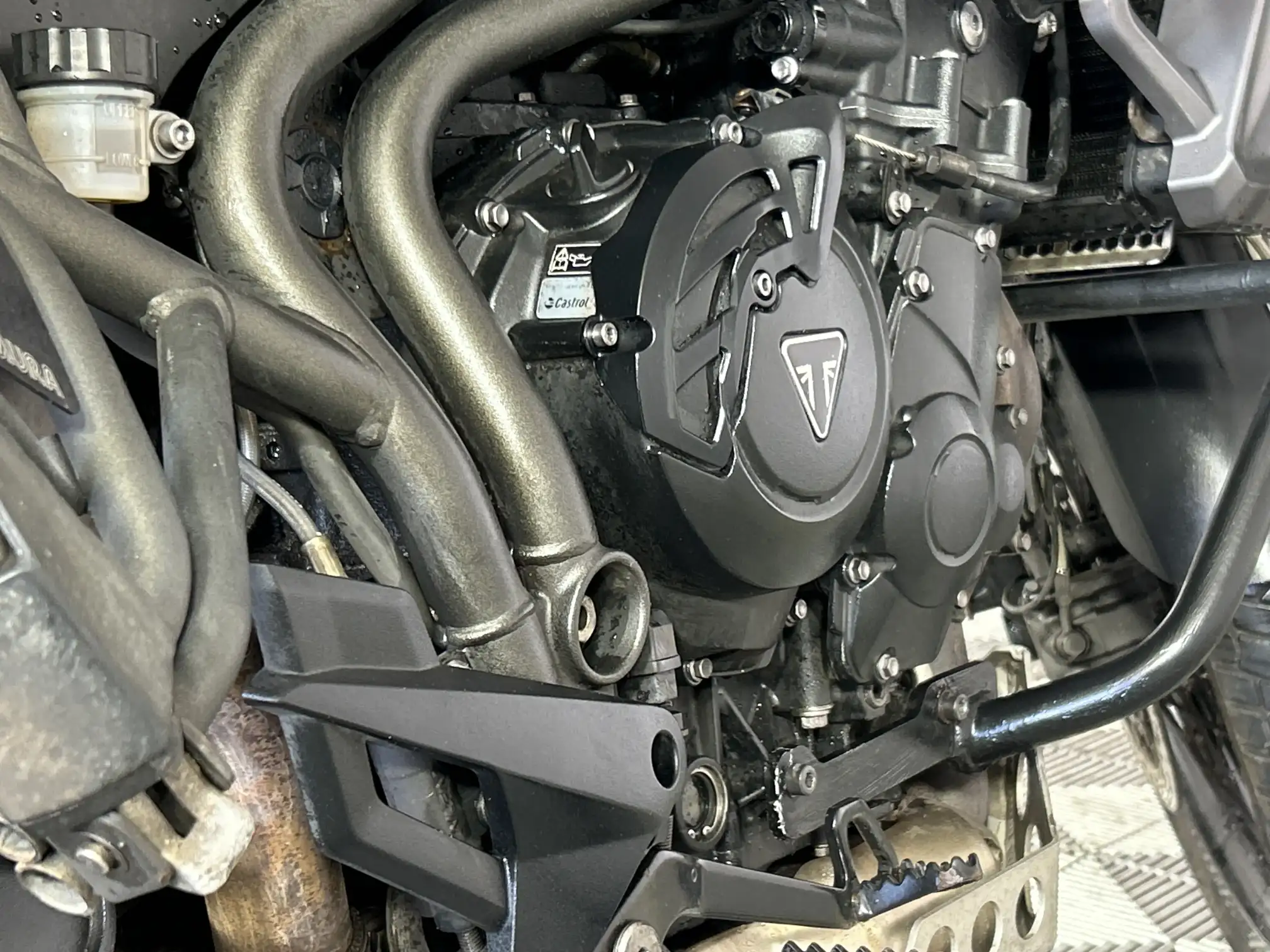 Triumph Tiger
