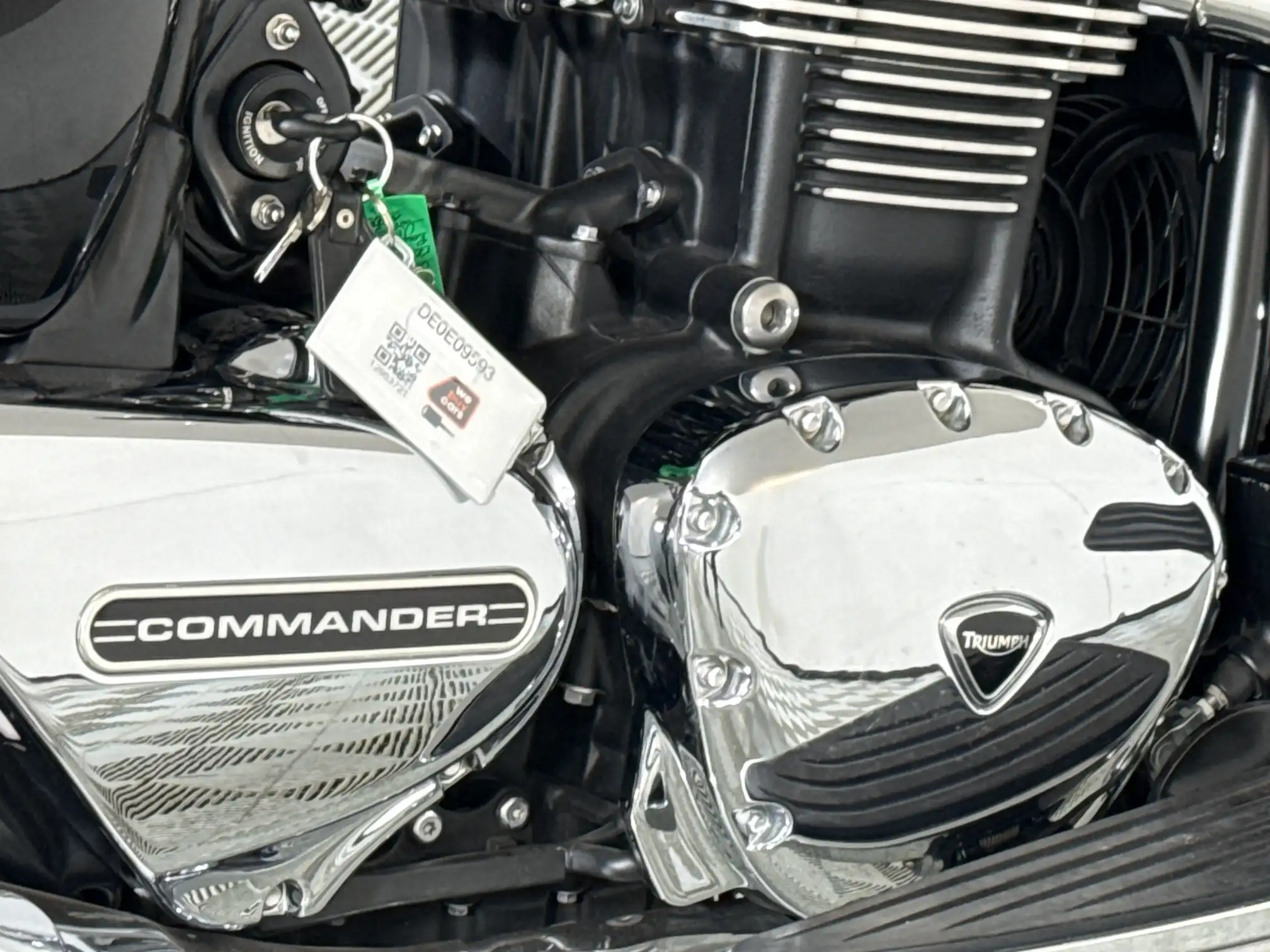 Triumph Thunderbird