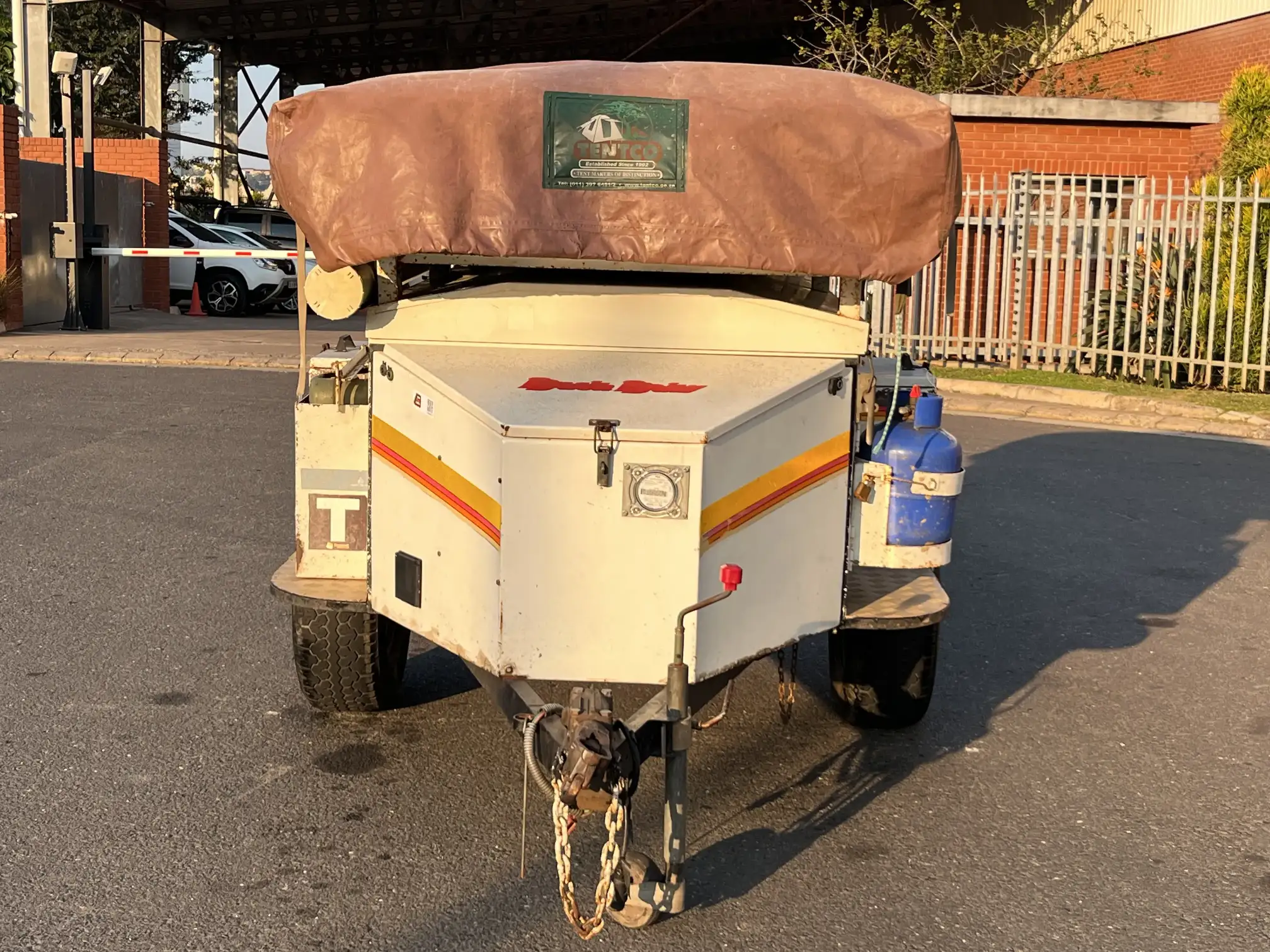 Venter Bushbaby