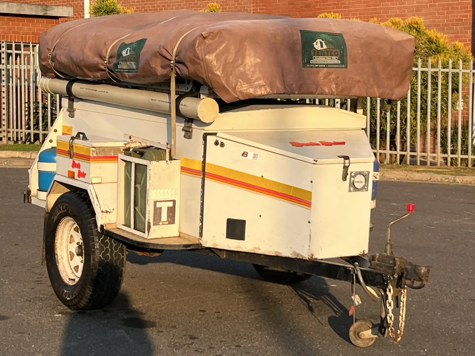 Venter Bushbaby
