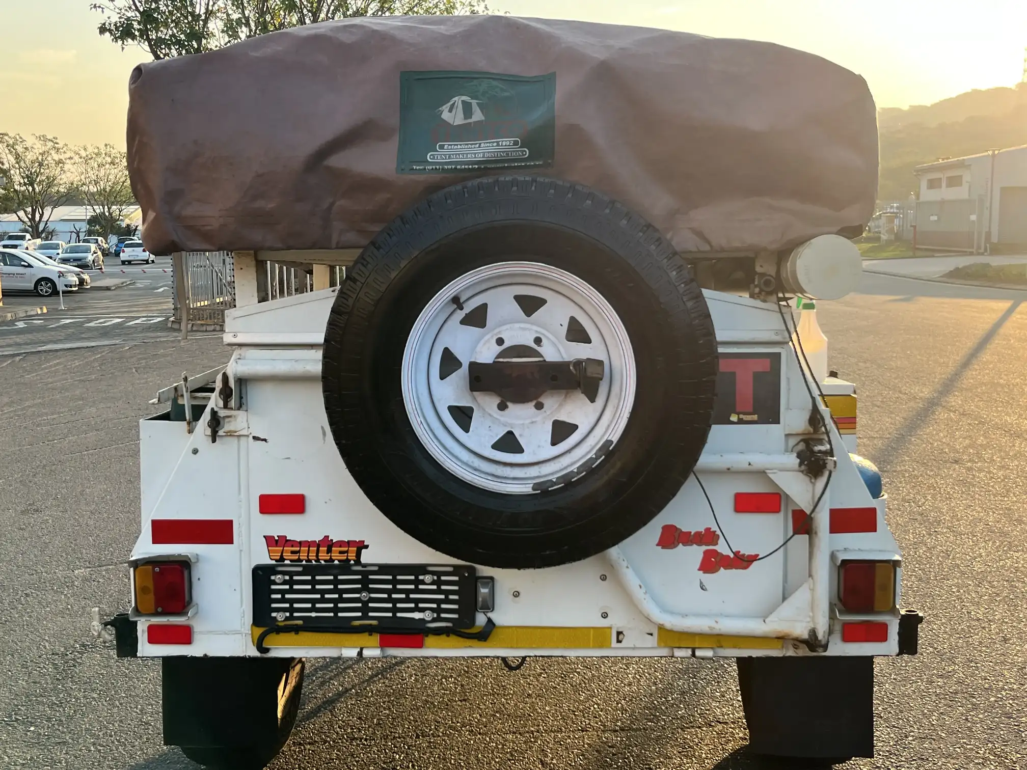 Venter Bushbaby