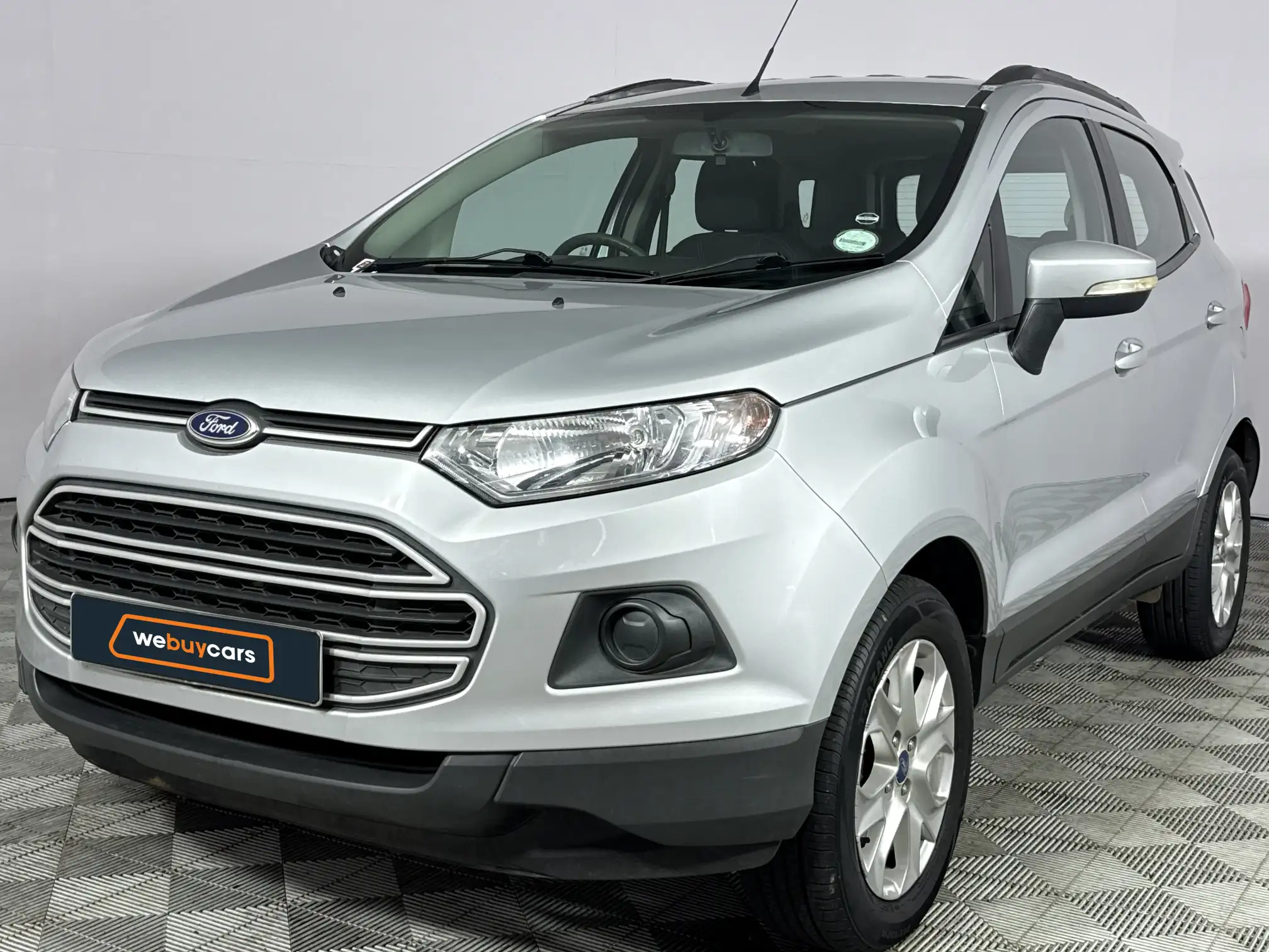 2013 Ford Ecosport