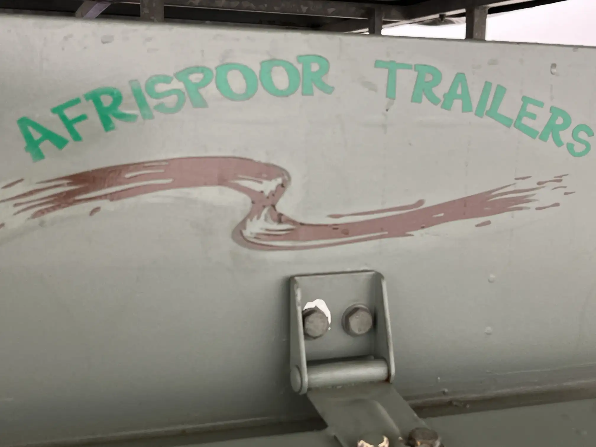 Afrispoor Mongoose