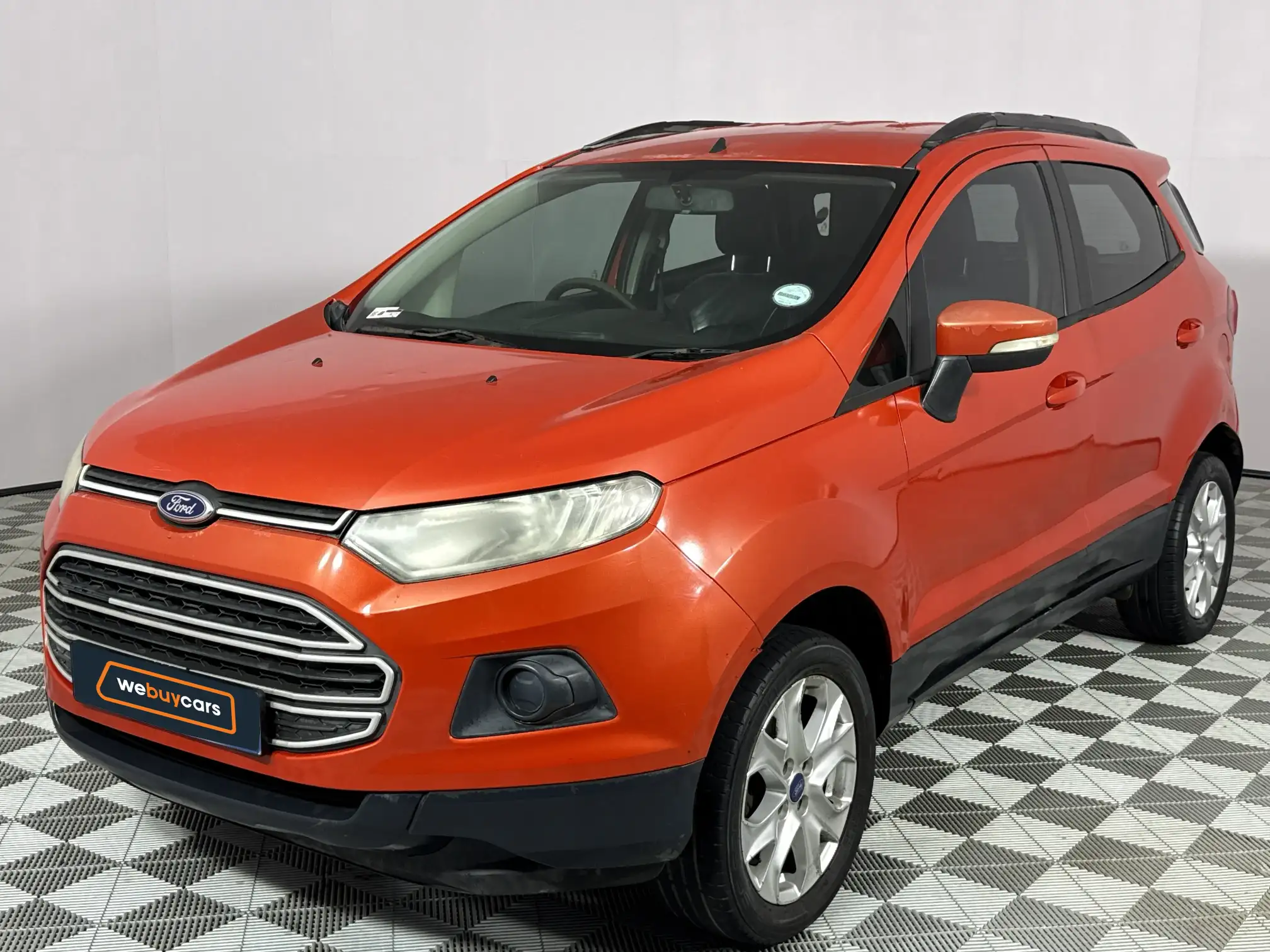 2013 Ford Ecosport