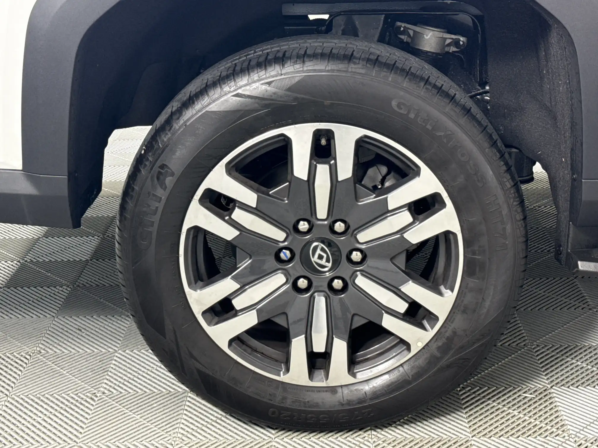 LDV Terron