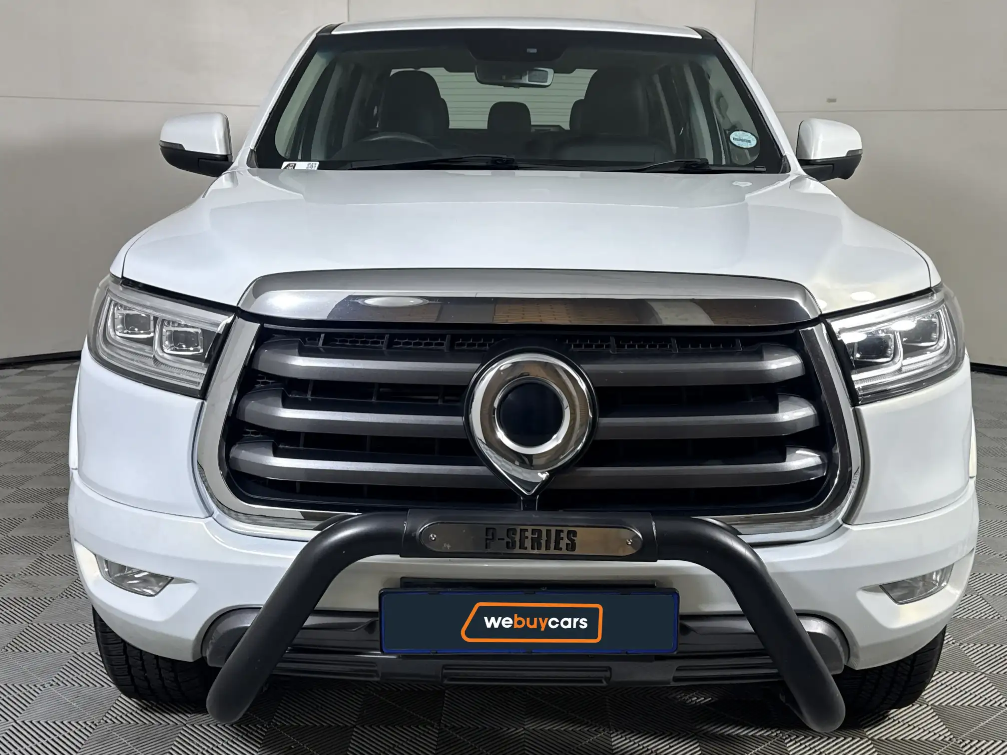 GWM P-Series